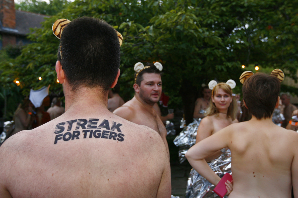 Around 300 participants take part in Streak for Tigers in order to raise money for Sumatran tigers at ZSL London Zoo. About £60,000 was raised to help save the critically endangered species. The 300 participants sadly represent the 300 Sumatran tigers that remain in the wild today. Visit http://www.zsl.org/zsl-london-zoo/whats-on/streak-for-tigers for further details. Picture date: Thursday August 15, 2013.  Photograph: Johnny Green